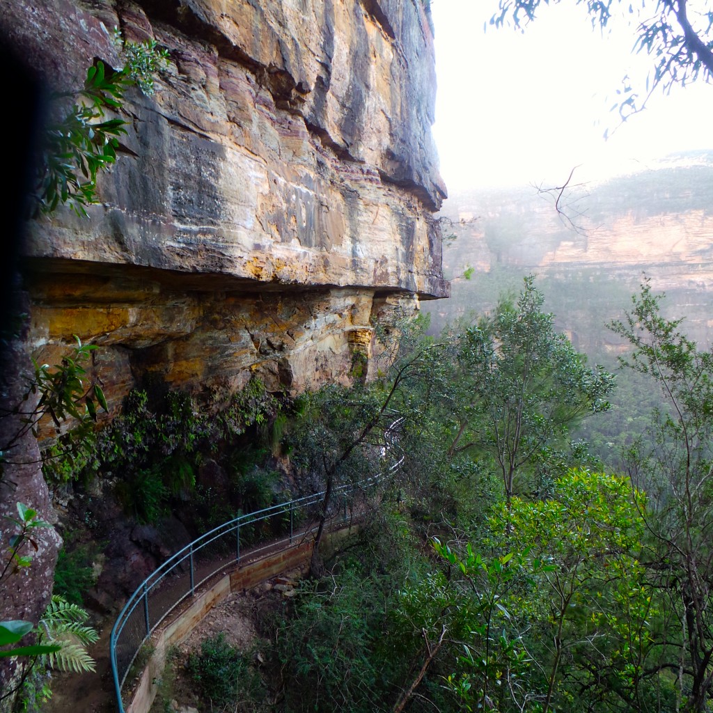 Wentworth Pass, Wentworth Falls, Ask Roz Blue Mountains