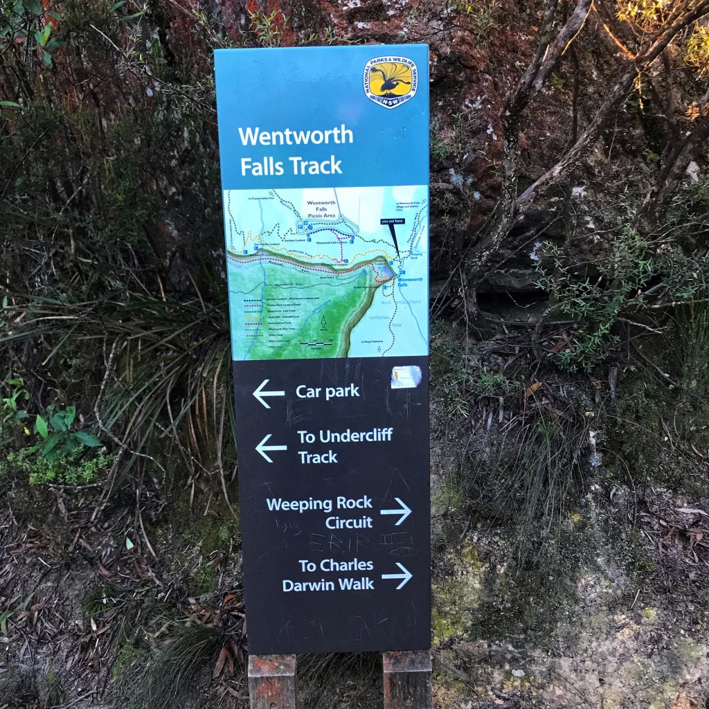 Undercliff-Overcliff walk Wentworth Falls