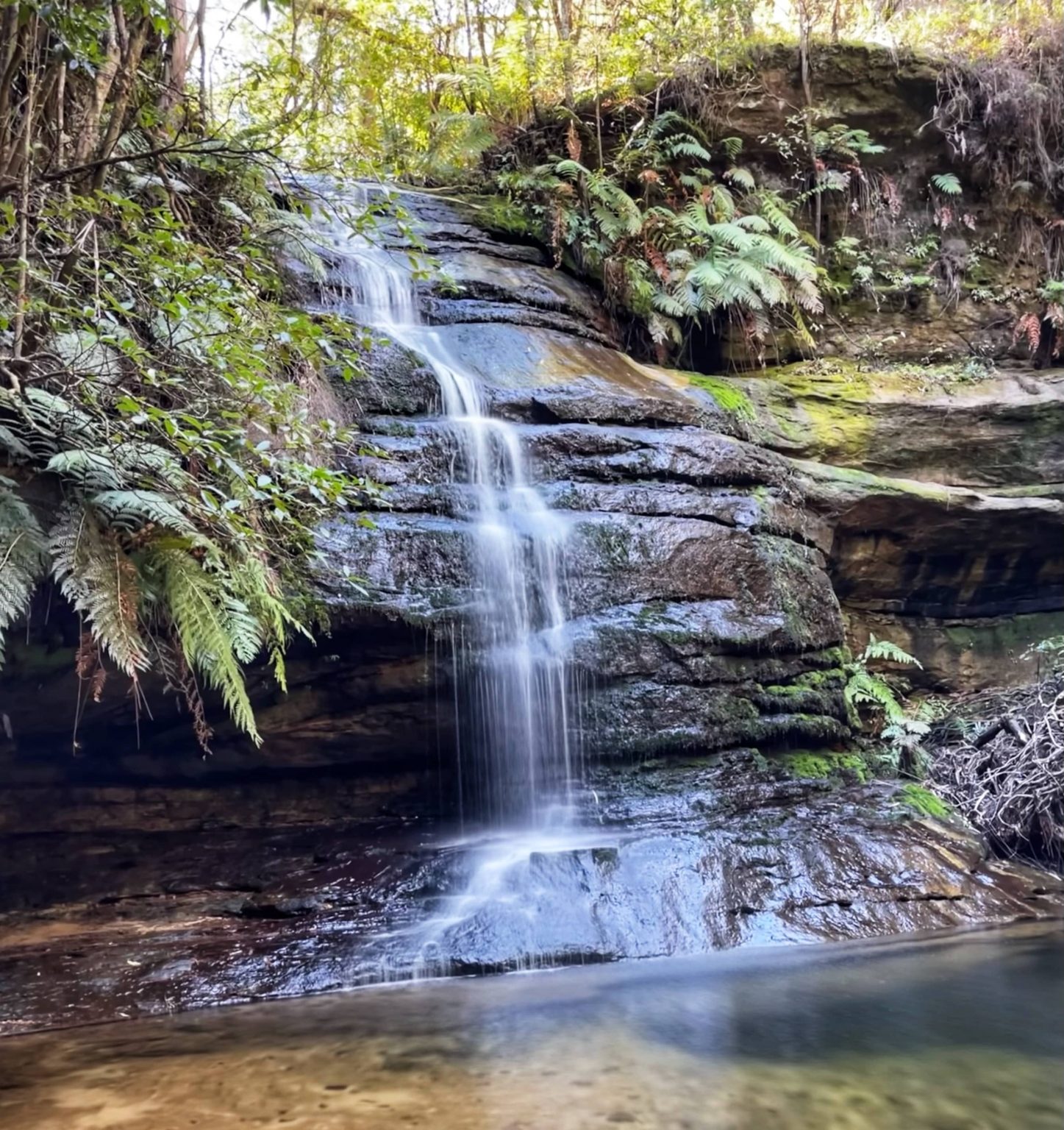 Pool of Siloam and Lyrebird Dell Leura