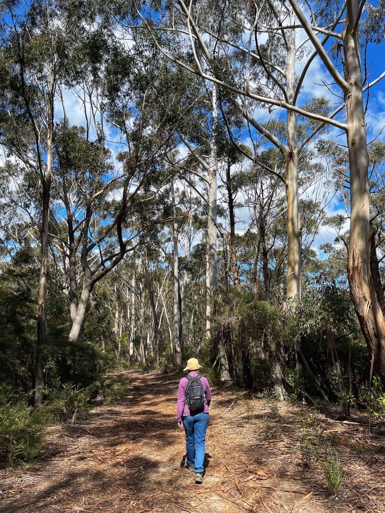 Enjoy a walk in the Ngula Bulgarabang Regional Park