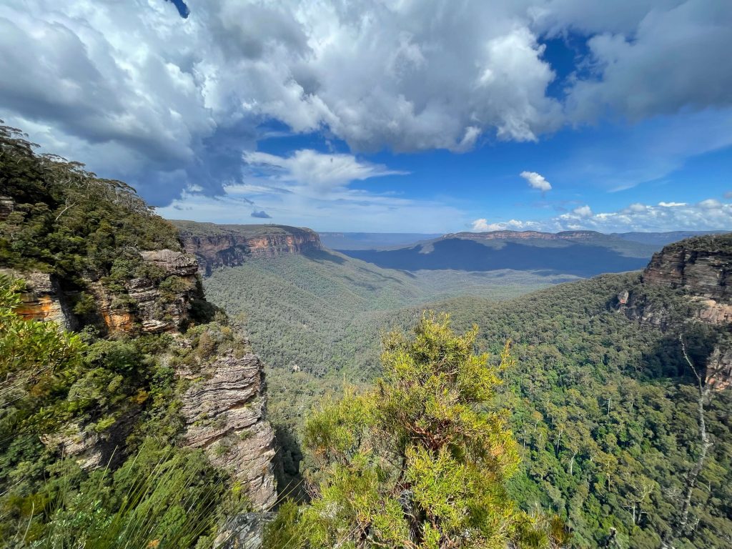 Overcliff Walk Wentworth Falls